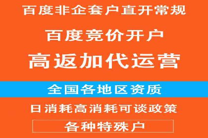 竞价推广公司案例：助力企业实现品牌飞跃